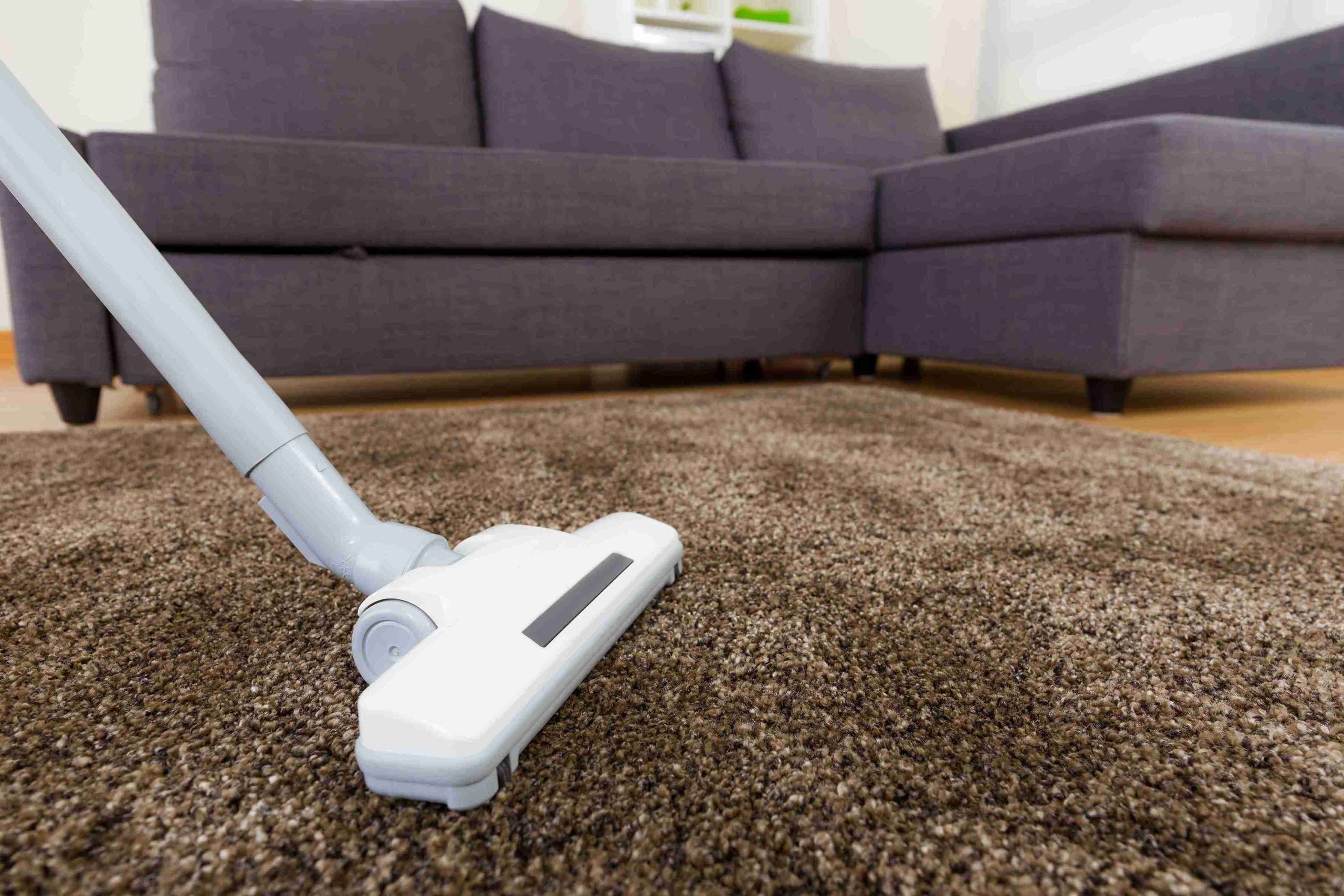 Carpet Cleaning_11zon